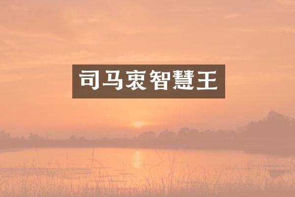 司马衷智慧王
