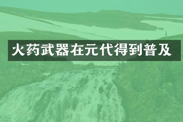 武器在元代得到普及