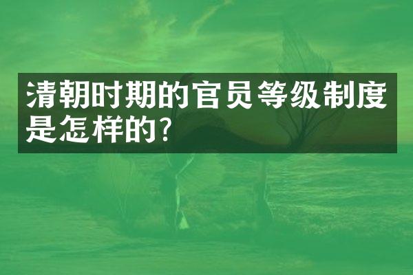 清朝时期的官员等级制度是怎样的？