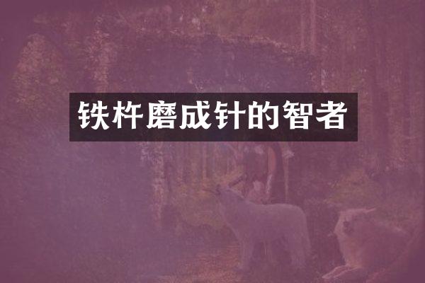 铁杵磨成针的智者