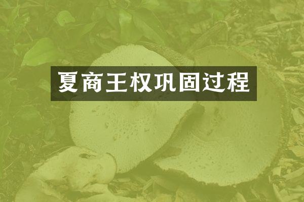 夏商王权巩固过程