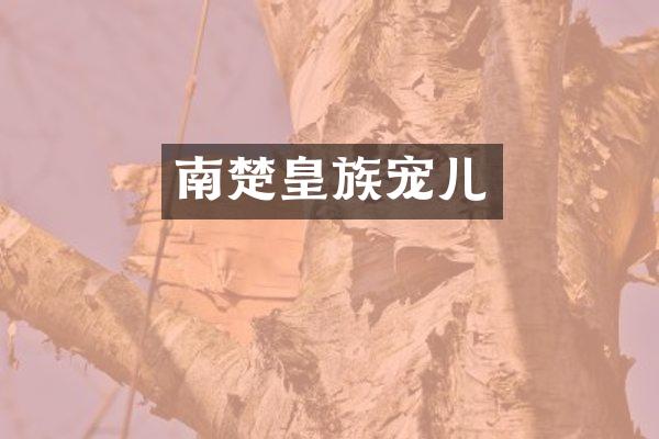 南楚皇族宠儿