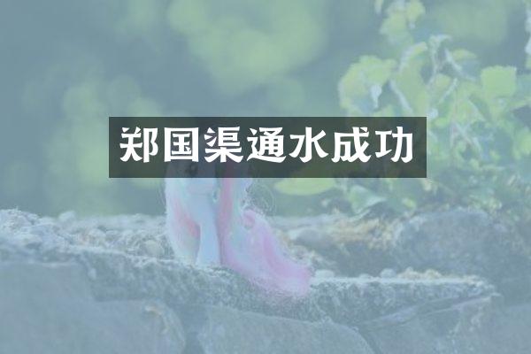 郑国渠通水成功