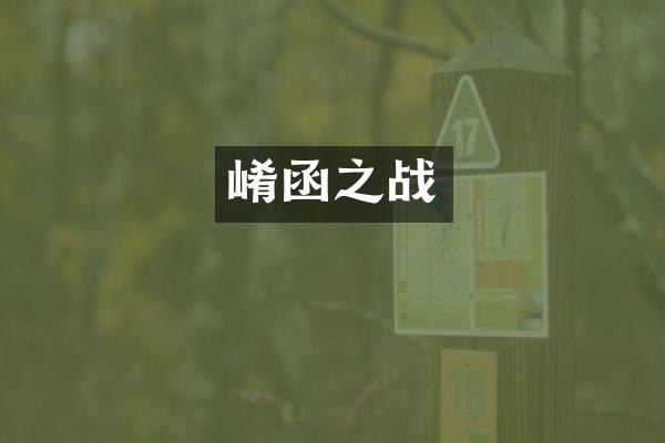 崤函之战