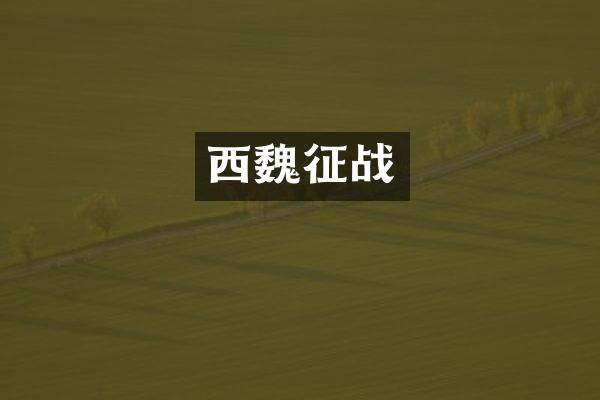 西魏征战