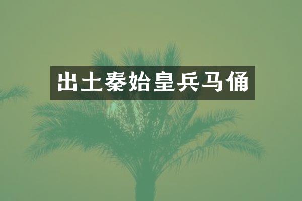 出土秦始皇兵马俑