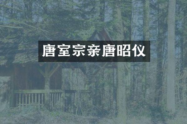 唐室宗亲唐昭仪