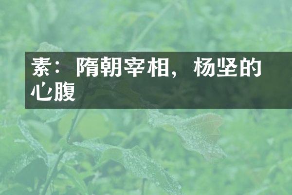 楊素：隋朝宰相，杨坚的心腹