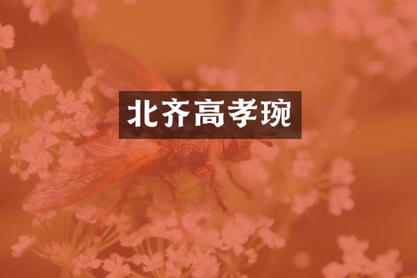 北齐高孝琬