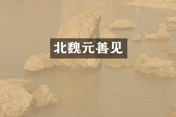 北魏元善见
