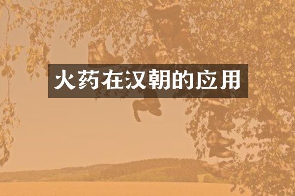 在汉朝的应用