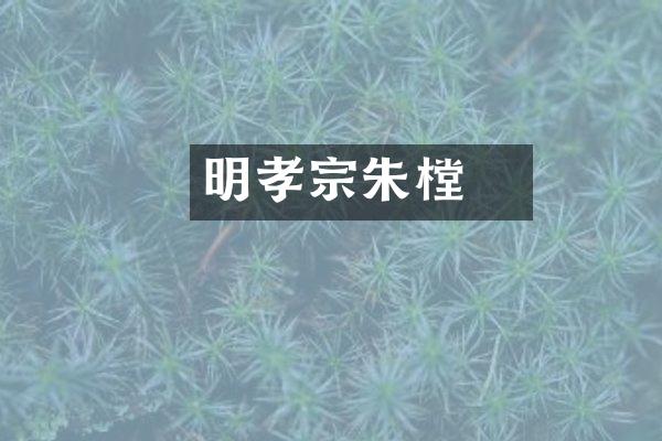 明孝宗朱祐樘