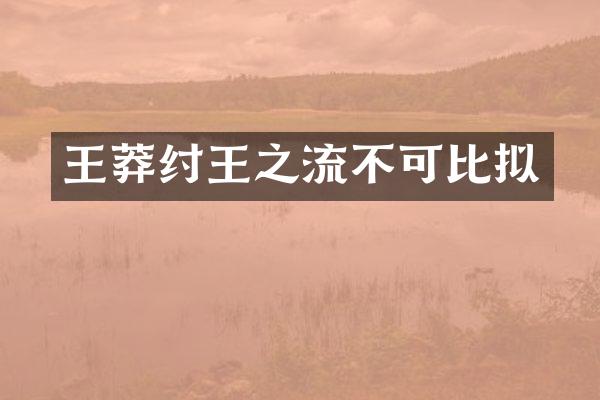 王莽纣王之流不可比拟