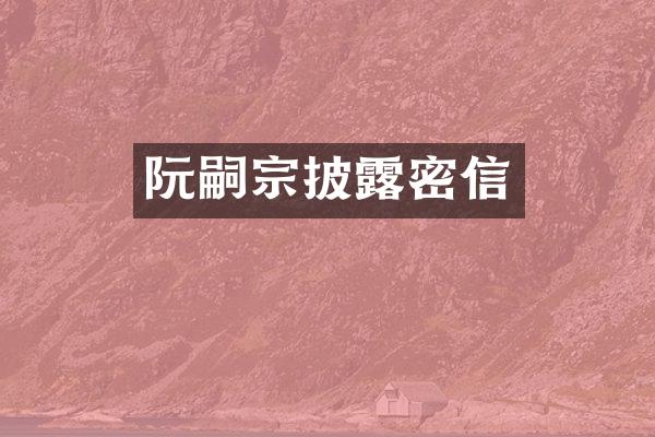 阮嗣宗披露密信
