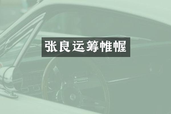 张良运筹帷幄
