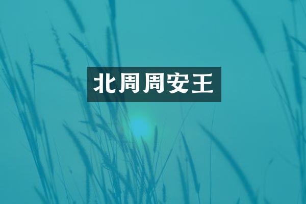 北周周安王