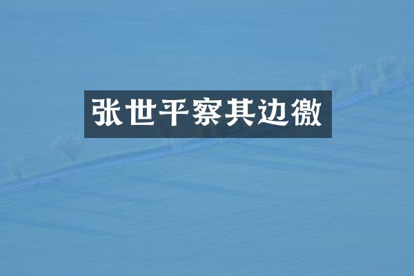 张世平察其边徼