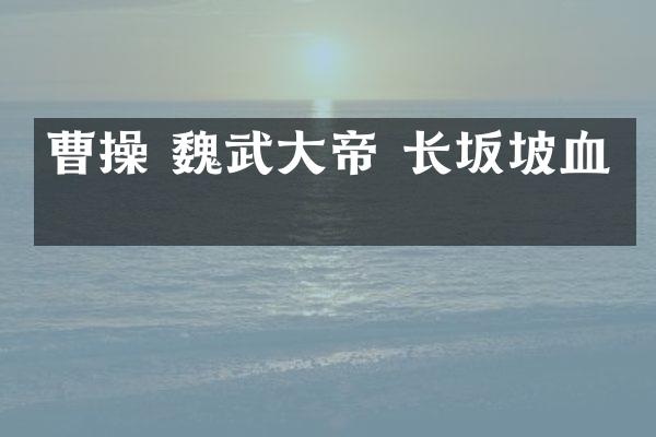 曹操 魏武大帝 长坂坡血战