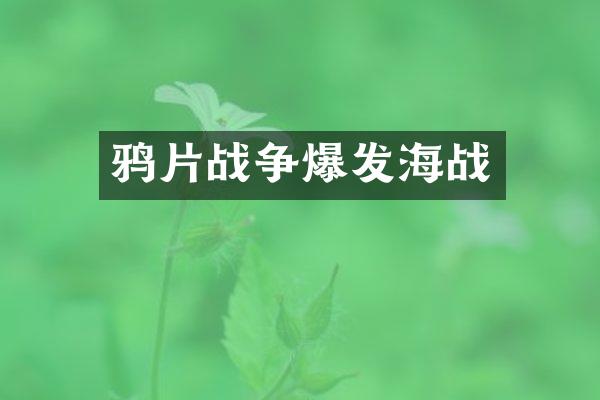 战争爆发海战