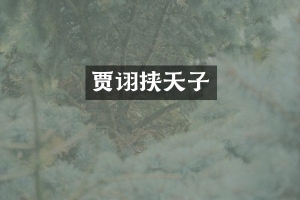 贾诩挟天子