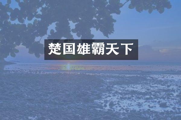 楚国雄霸天下