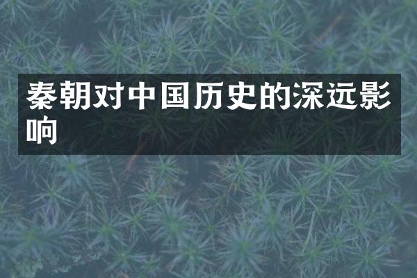 秦朝对中国历史的深远影响