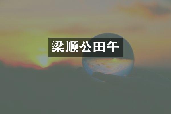 梁顺公田午