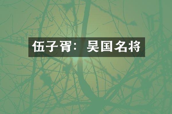 伍子胥：吴国名将