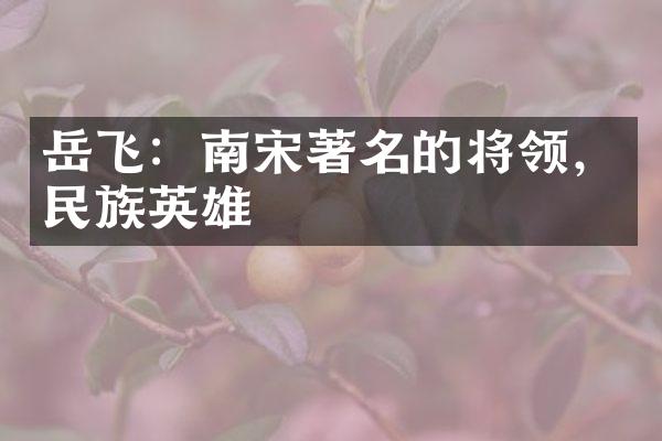 岳飞：南宋著名的将领，民族英雄
