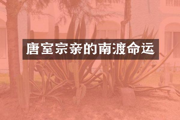 唐室宗亲的南渡命运