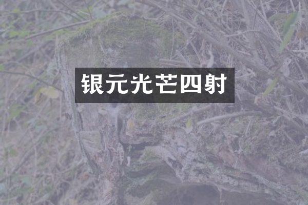 银元光芒四射