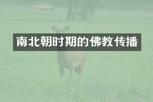 南北朝时期的佛教传播