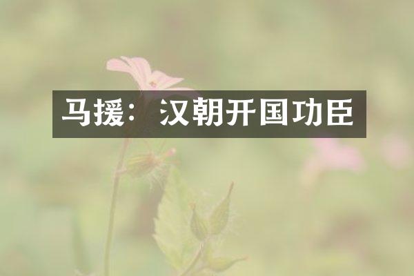 马援：汉朝开国功臣