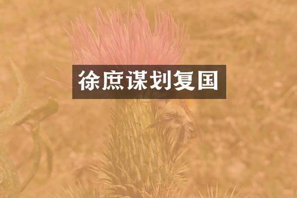 徐庶谋划复国