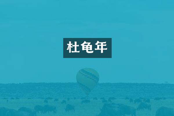 杜龟年