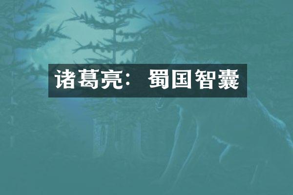 诸葛亮：蜀国智囊