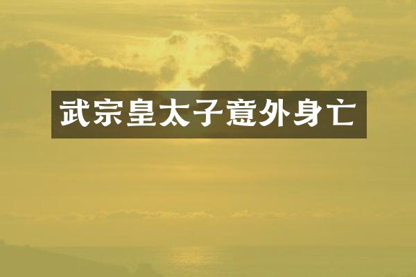武宗皇太子意外身亡