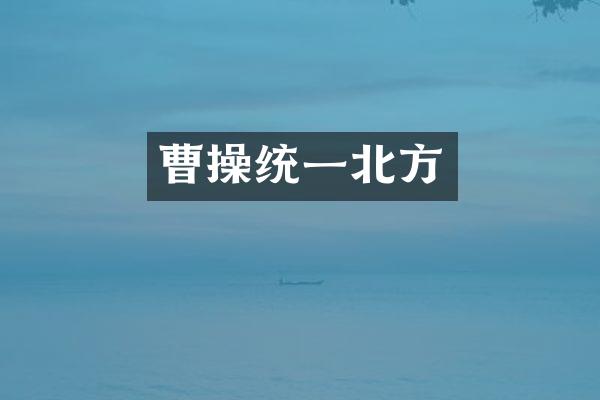 曹操统一北方