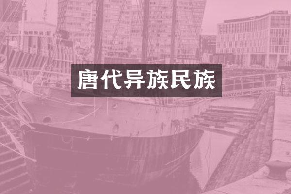 唐代异族民族