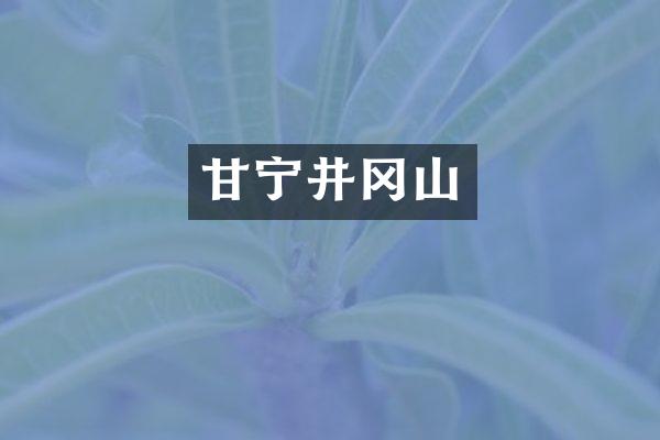 甘宁井冈山