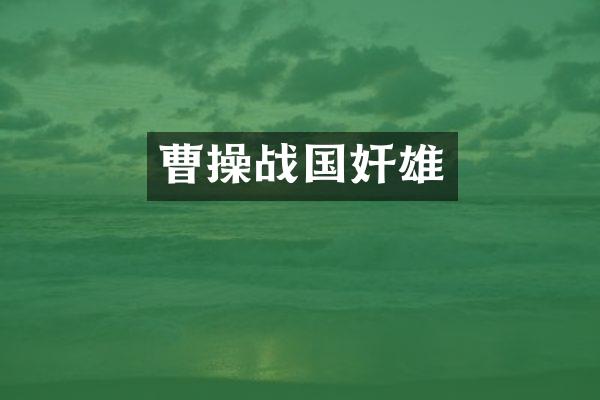 曹操战国奸雄