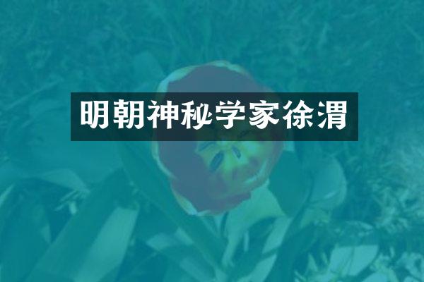 明朝神秘学家徐渭