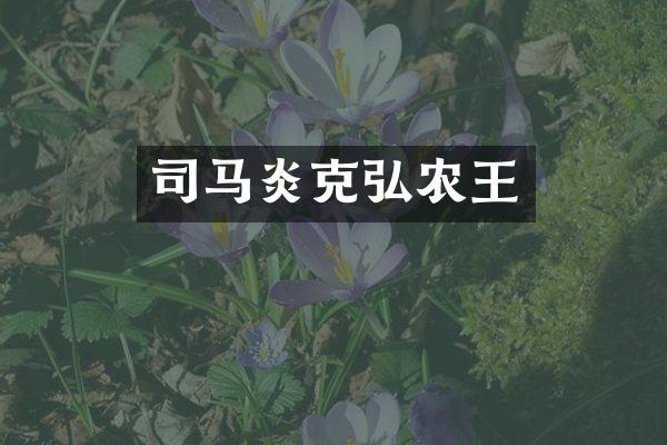 司马炎克弘农王