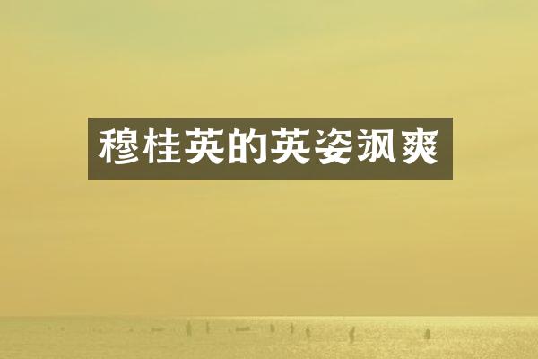 穆桂英的英姿飒爽