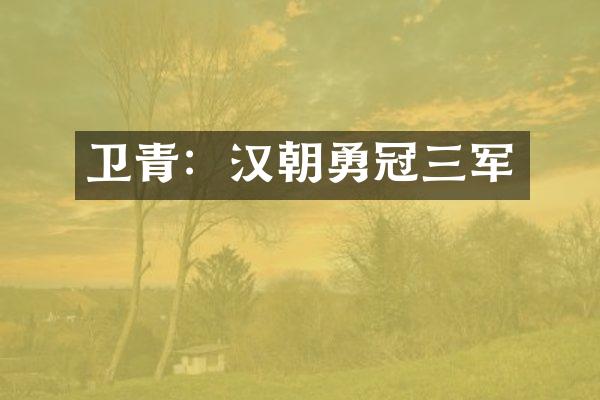 卫青：汉朝勇冠三军