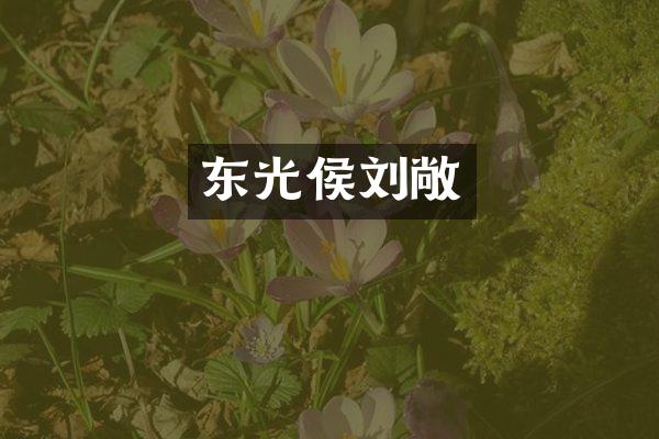 东光侯刘敞
