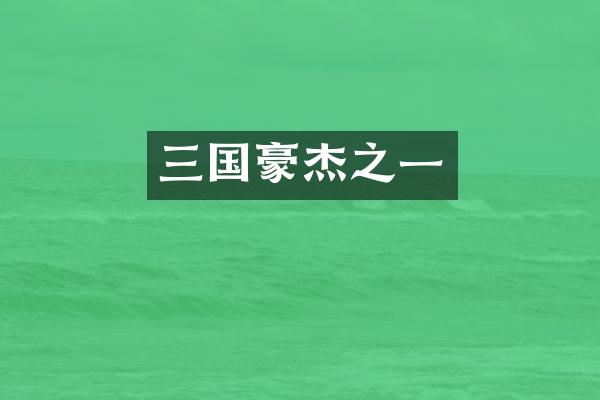 三国豪杰之一
