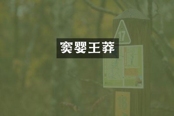 窦婴王莽