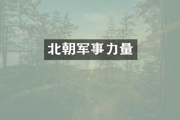 北朝军事力量