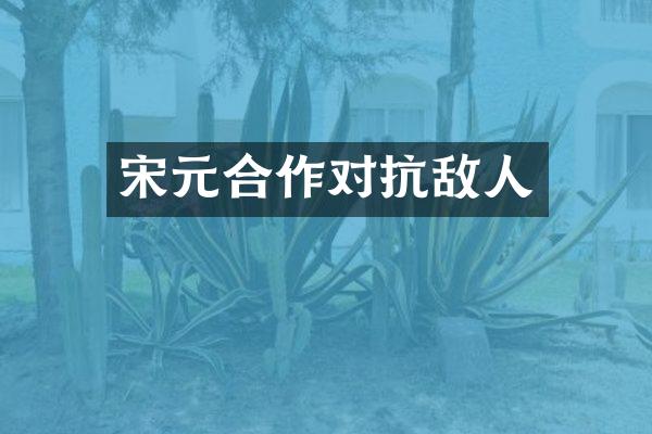宋元合作对抗敌人